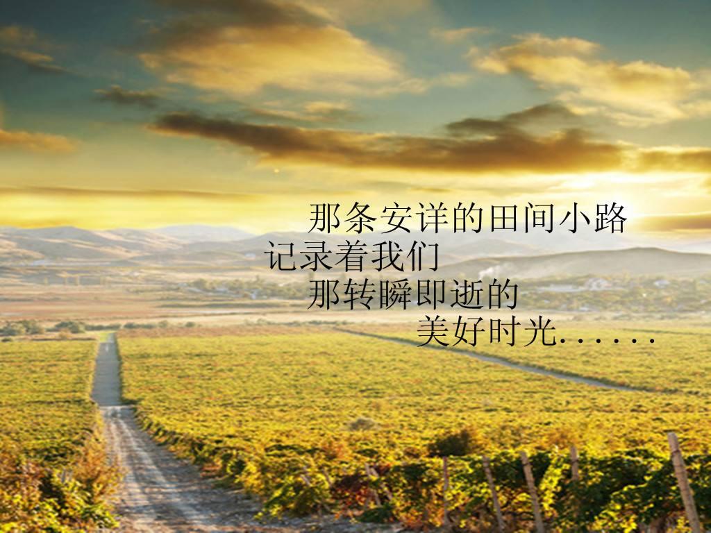 人生不易且行且珍惜下句,人生不易且行且珍惜歌曲