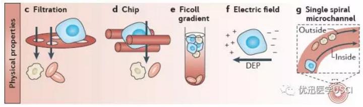 液态活检ctc怎么做,活检是ctc吗