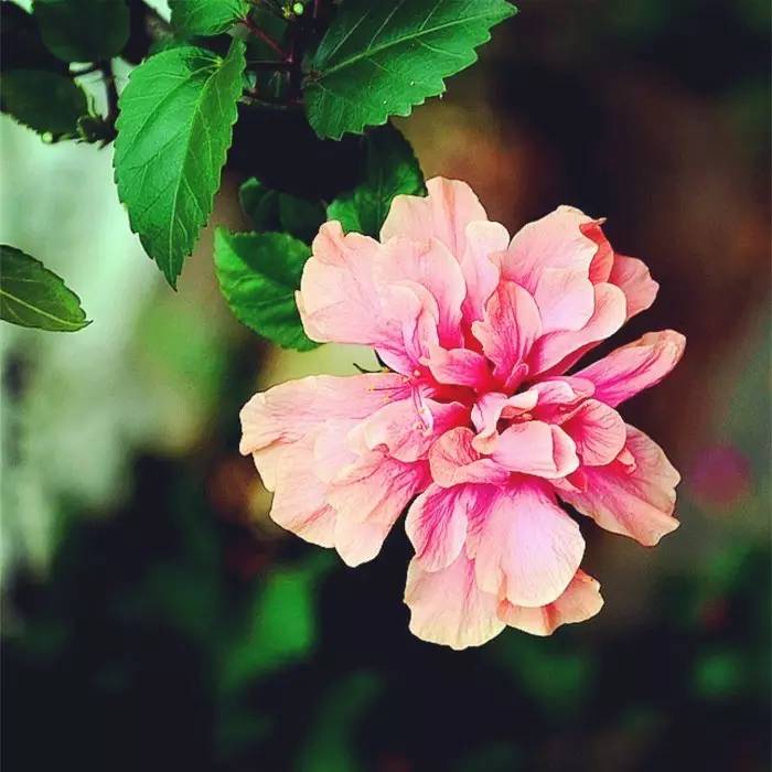 人生的三个境界，你到了哪一层？