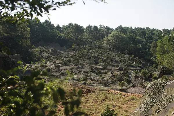 许久未见甚是想念用别的话怎么说,许久未见甚是想念用古文表达