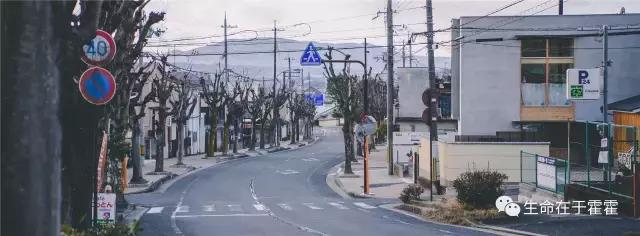 拉面 · 自动贩售机 · 雪｜云之彼岸的日本欢脱之旅