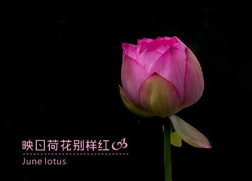 coreldraw改变标注数字,coreldraw竖排文字怎么改变方向