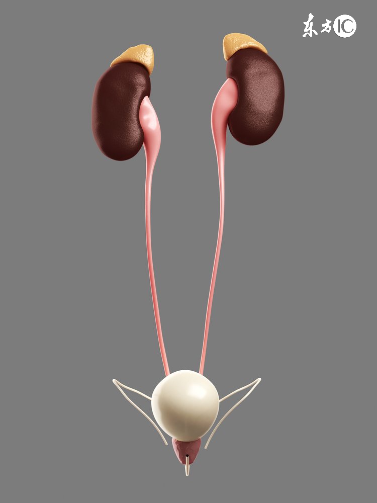 留置导尿管术有讲究