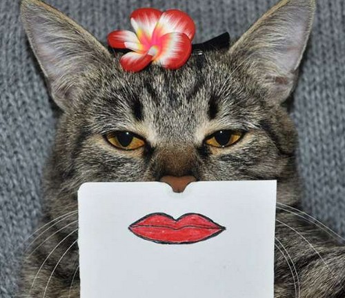 路上要是见到这么多钱，你们会怎么办？花掉还是还给人家