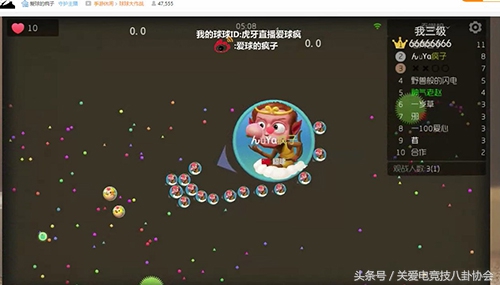 球球大作战大神教你免费获得皮肤,球球大作战怎么获得免费传说皮肤