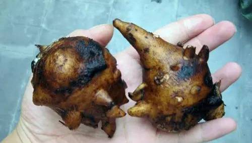 江油值得一逛,江油小城美不美