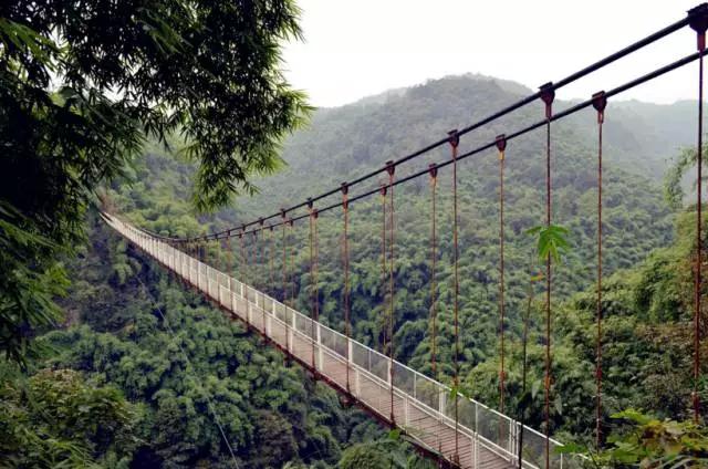 成都春季爬山踏青赏花一日游,成都周边踏青二日游自驾游