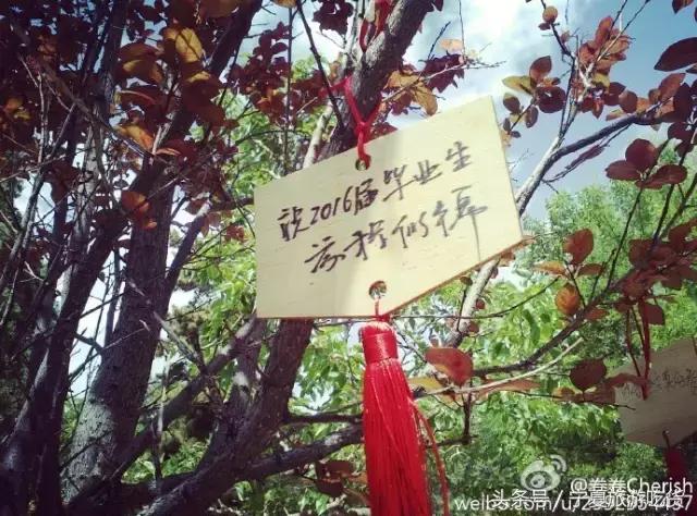 新华学院，不散的青春