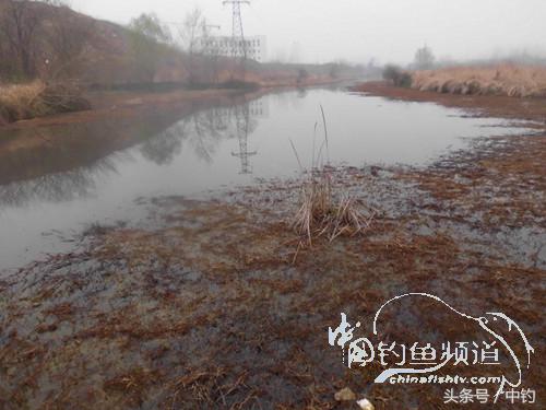 天气变化时鱼怎么不好钓,天气忽冷忽热鱼会怎么样