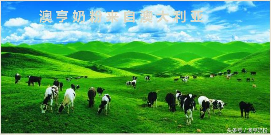 爱宝宝奶粉好喝吗,为什么奶粉颜色都不一样