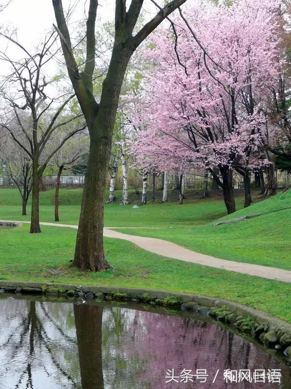 颜值与实力兼备高校,北大为何这么强大