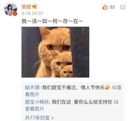 强心脏！被暗讽硬插入好莱坞大片伤害观众，景甜再度开启自黑模式