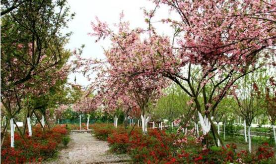 江油值得一逛,江油小城美不美