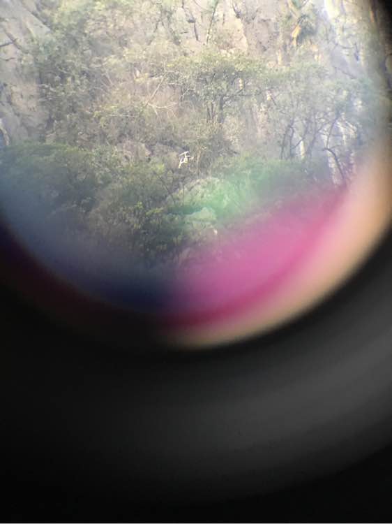 大疆精灵3se自动返航如何操作,大疆精灵3a怎样调一键返航高度