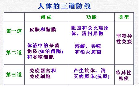 科莫多龙pk,真正的科莫多龙