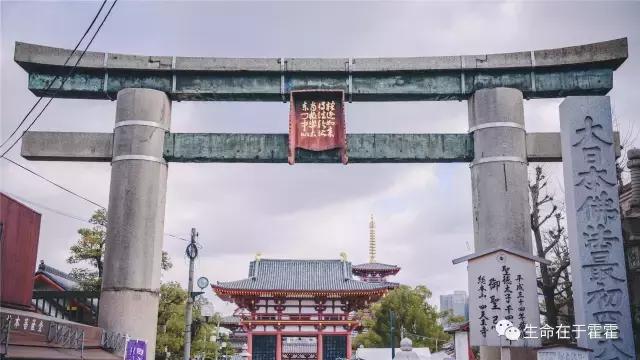 拉面 · 自动贩售机 · 雪｜云之彼岸的日本欢脱之旅