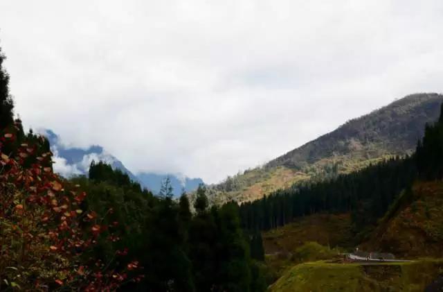 成都周边踏青二日游自驾游,春节成都看花好玩的地方推荐