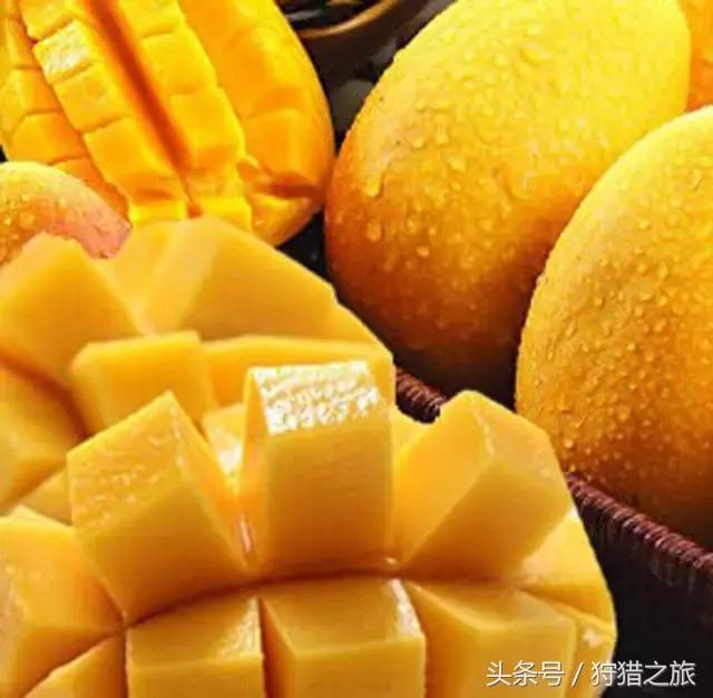 鍗楅潪鐭ュ悕鐚庝汉,鍗楅潪鐚庝汉鐙╃寧