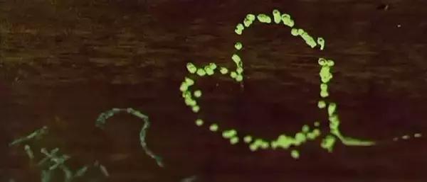 诗影｜我有个秘密想告诉你