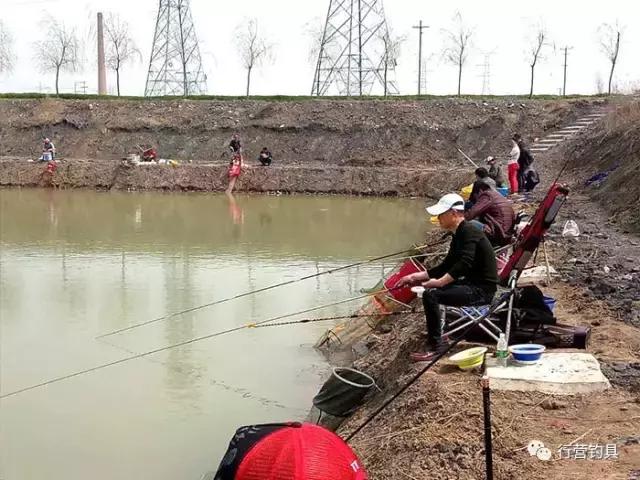 全国钓鱼大赛德州站结果,淮北钓鱼比赛直播