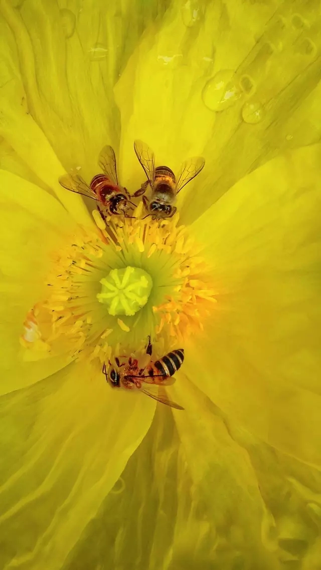 <html>
<head><title>502BadGateway</title></head>
<body>
<center><h1>502BadGateway</h1></center>
<hr><center>nginx</center>
</body>
</html>
<!--apaddingtodisableMSIEandChromefriendlyerrorpage-->
<!--apaddingtodisableMSIEandChromefriendlyerrorpage-->
<!--apaddingtodisableMSIEandChromefriendlyerrorpage-->
<!--apaddingtodisableMSIEandChromefriendlyerrorpage-->
<!--apaddingtodisableMSIEandChromefriendlyerrorpage-->
<!--apaddingtodisableMSIEandChromefriendlyerrorpage-->
