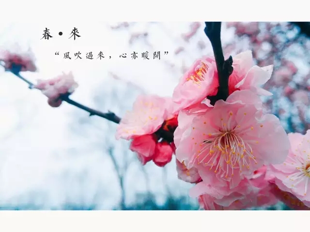 <html>
<head><title>502BadGateway</title></head>
<body>
<center><h1>502BadGateway</h1></center>
<hr><center>nginx</center>
</body>
</html>
<!--apaddingtodisableMSIEandChromefriendlyerrorpage-->
<!--apaddingtodisableMSIEandChromefriendlyerrorpage-->
<!--apaddingtodisableMSIEandChromefriendlyerrorpage-->
<!--apaddingtodisableMSIEandChromefriendlyerrorpage-->
<!--apaddingtodisableMSIEandChromefriendlyerrorpage-->
<!--apaddingtodisableMSIEandChromefriendlyerrorpage-->
