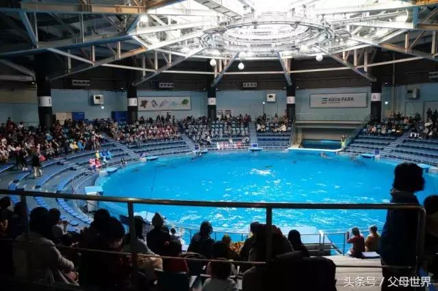 一个从来没用过童车的爸爸抱着孩子去日本水族馆吓人了!