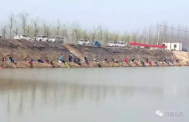 全国钓鱼大赛德州站结果,淮北钓鱼比赛直播