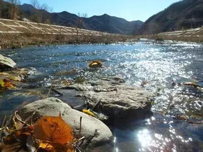 盘点北京38个森林公园,定个小目标完整版免费