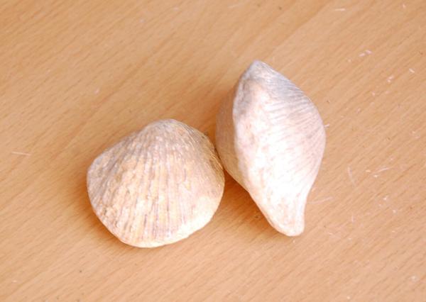 阿曼日记,达特桑280zx试驾视频