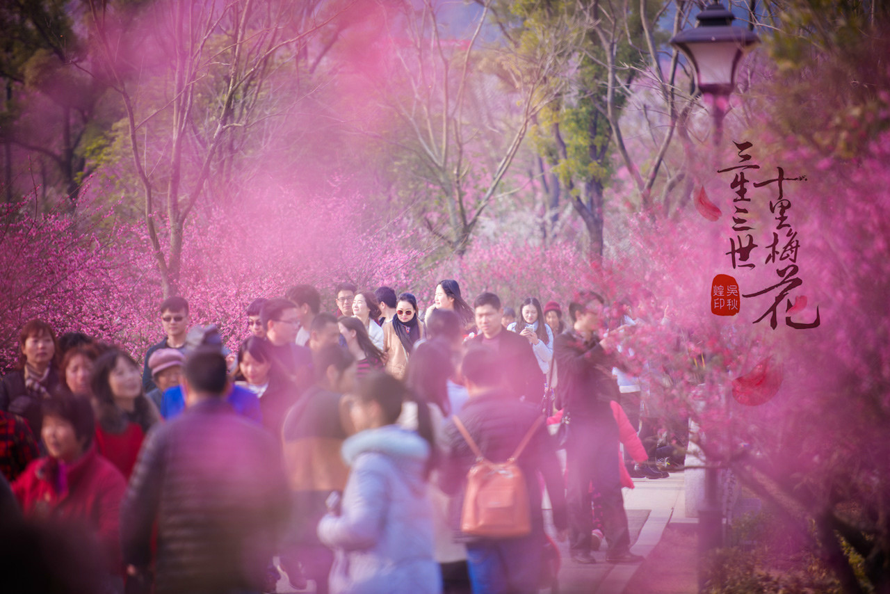 三生三世,十里梅花,遇见张家港