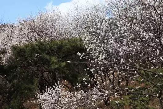 定个小目标100天,定个小目标完整版