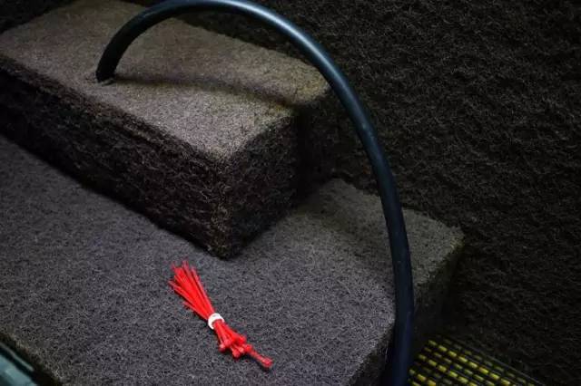 水族箱草缸开缸教程新手入门,雨林缸开缸多久植物才会稳定