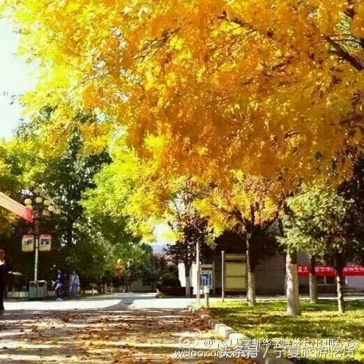 新华学院，不散的青春