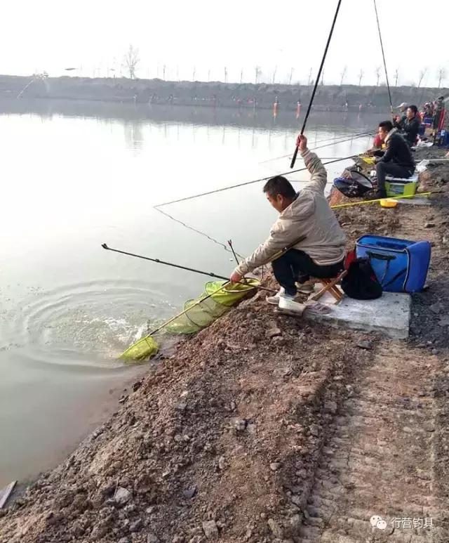 淮北钓鱼比赛直播,第一届名钓杯钓鱼邀请赛