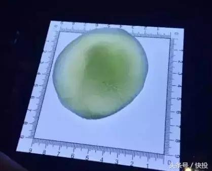 餐饮界的大奇葩,餐饮界的奇葩经历