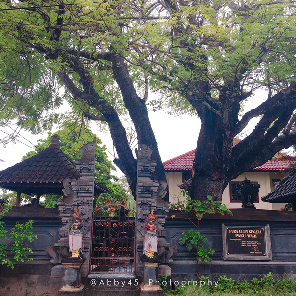 到巴厘岛的感受,到巴厘岛后怎么去蓝梦岛
