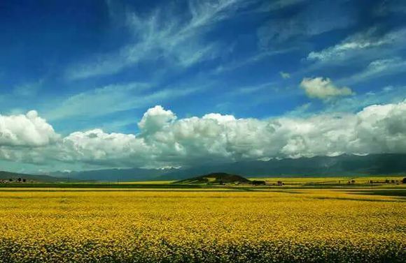 方言土语又难懂又好笑,中国的方言真是南腔北调