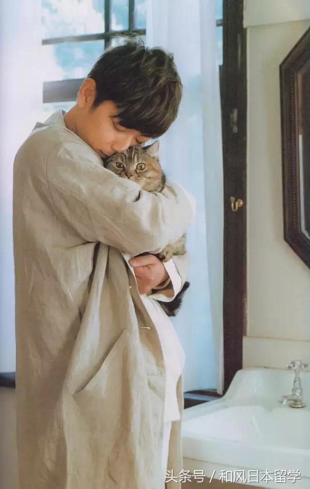 佐藤健颜值评价,佐藤健在日本颜值排名