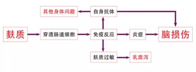 艺周荐｜揭秘《谷物大脑》养生宝典or科幻小说
