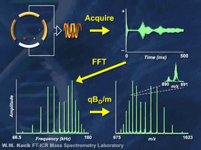 20张动图秒懂四大名谱原理！