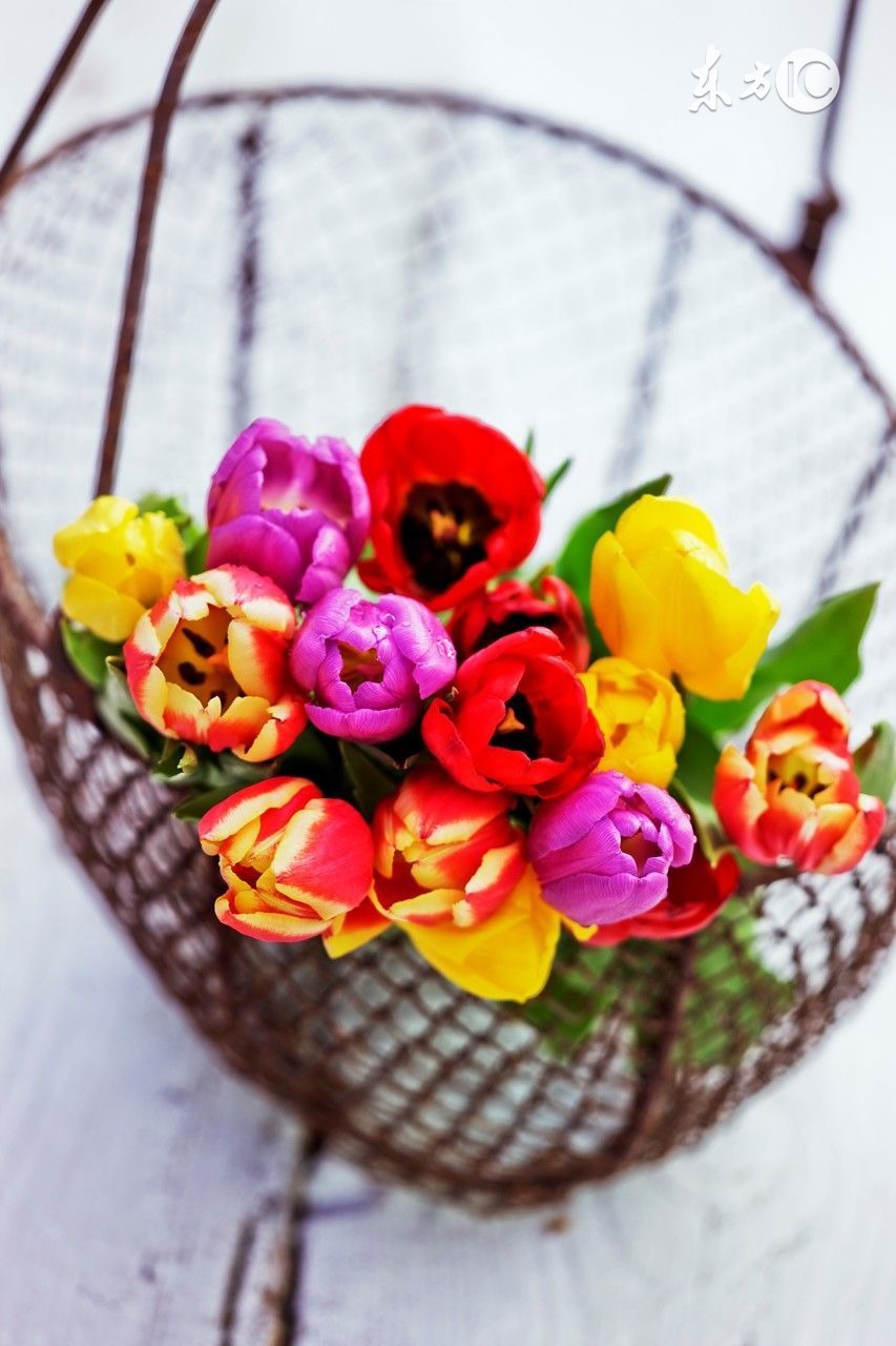 毕业了怎么办好迷茫,毕业了怎么办游戏