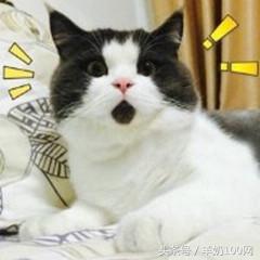 黑心奶粉曝光,进口奶粉含有辐射