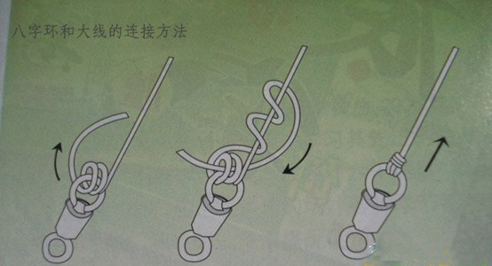 新手钓鱼入门教程绑鱼线,四海钓鱼教学