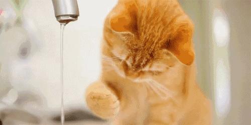 明星为什么可以说白就白,明星洗白是什么意思