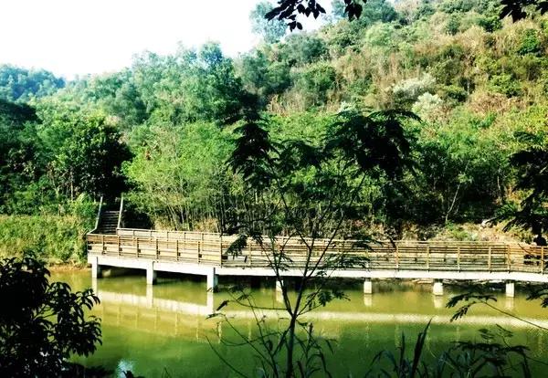 深圳单车爬山攻略推荐,来深圳必游的五大景点