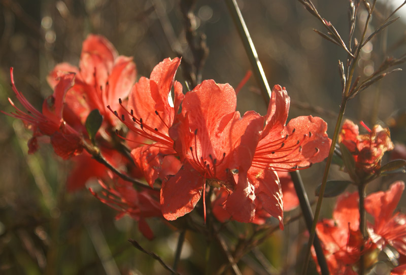 藏在潮汕附近的世外园林！分分钟可以成为摄影大师！