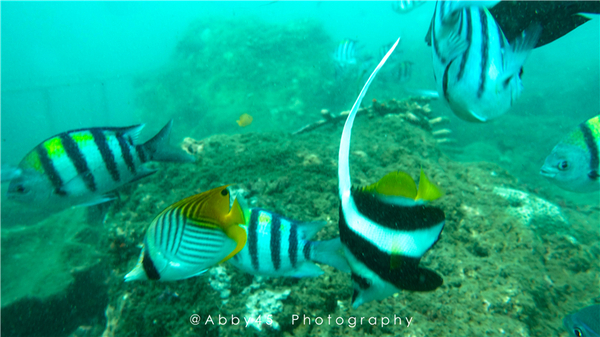 到巴厘岛的感受,到巴厘岛后怎么去蓝梦岛