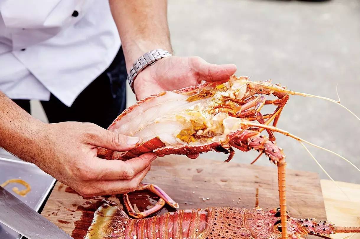 在澳洲抓澳洲小龙虾,澳大利亚捕龙虾