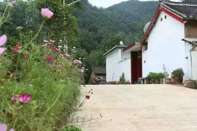 栾川游览图,栾川风景航拍